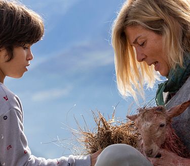 Belle y Sebastián. La nueva generación