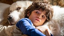 Belle y Sebastián. La nueva generación