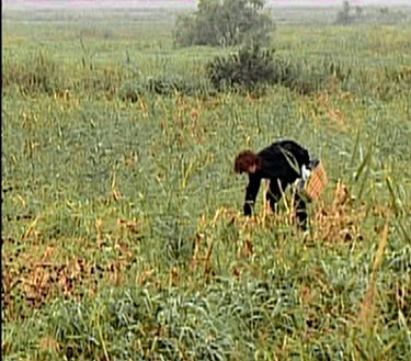 Los espigadores y la espigadora