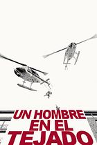 Un hombre en el tejado