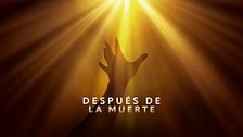 Después de la muerte