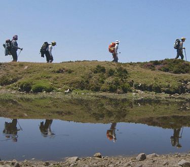 Footprints, el camino de tu vida