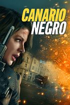 Canary Black