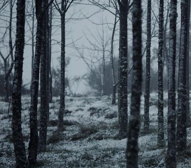 El guerrero de la venganza