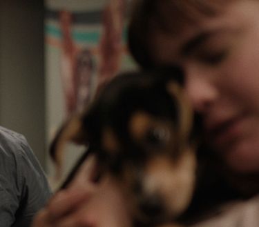 Un "like" de Bob Trevino