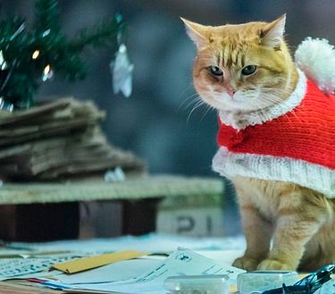 Mi navidad con Bob