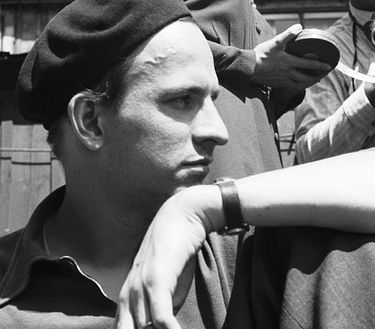 Bergman, su gran año