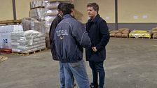 Programa 7