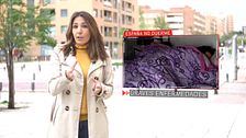Programa 132