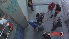 Programa 84