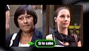 Programa 254