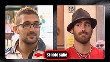 Programa 260