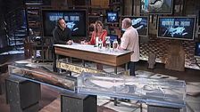 Programa 327