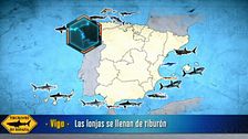 Programa 412
