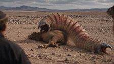 P887 - El gusano de la muerte del desierto del Gobi