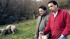Programa 11