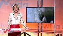 Programa 161