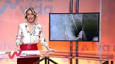 Programa 161