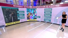 Diario 20/09/2023