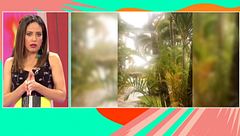Programa 9