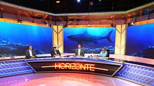 Horizonte 13/07/2023