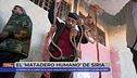 Programa 684