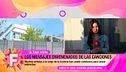 Programa 36