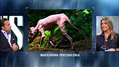 Arrancando La Nave 5