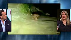 Arrancando La Nave 6