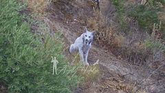 Arrancando La Nave 9