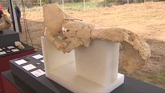 Arrancando La Nave 22