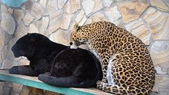 Arrancando La Nave 24