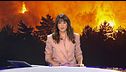 Mediodía 23/07/2026
