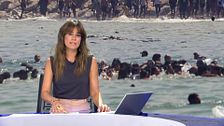 Mediodía 21/09/2026