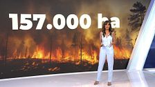 Mediodía 16/08/2025