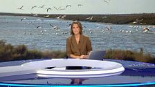 Mediodía 06/09/2025