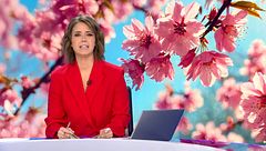 Mediodía 01/03/2026