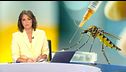 Mediodía 12/07/2026