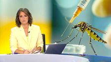 Mediodía 12/07/2026