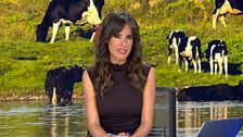 Mediodía 01/08/2026