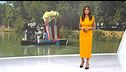 Mediodía 06/09/2026