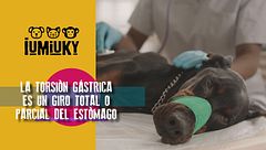 Programa 186