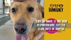 Programa 187