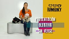Programa 188
