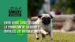 Programa 189