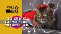 Programa 195