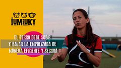 Programa 196