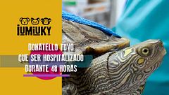 Programa 197