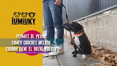 Programa 199