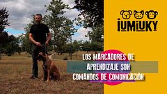 Programa 200